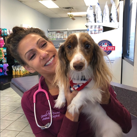 Meet your Posher, Danielle - Picture 7 of 7